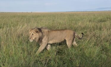20250620 082542 - Weru Tours safari