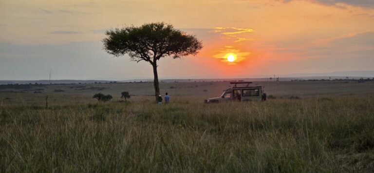 20250716 183625 - Weru Tours safari